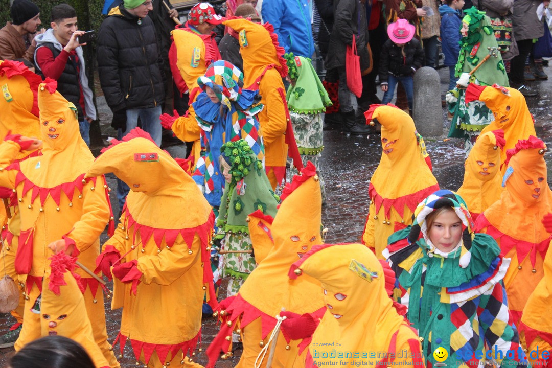 Fasnetsumzug - Fasching: Langenargen am Bodensee, 10.01.2016