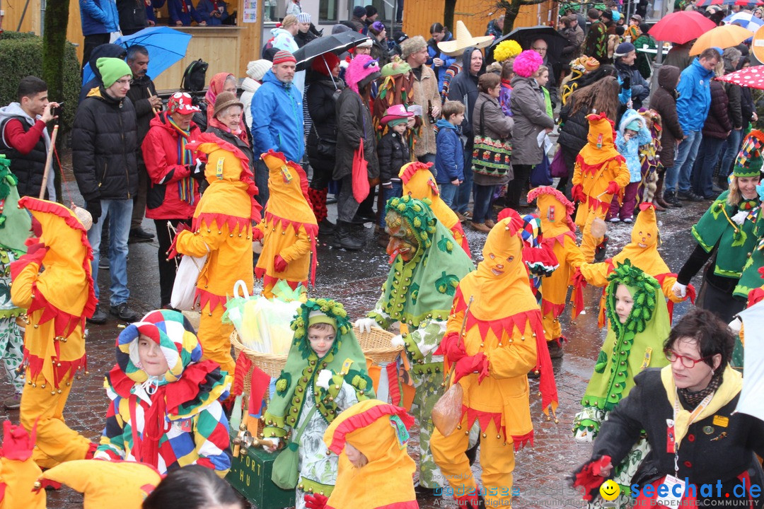 Fasnetsumzug - Fasching: Langenargen am Bodensee, 10.01.2016