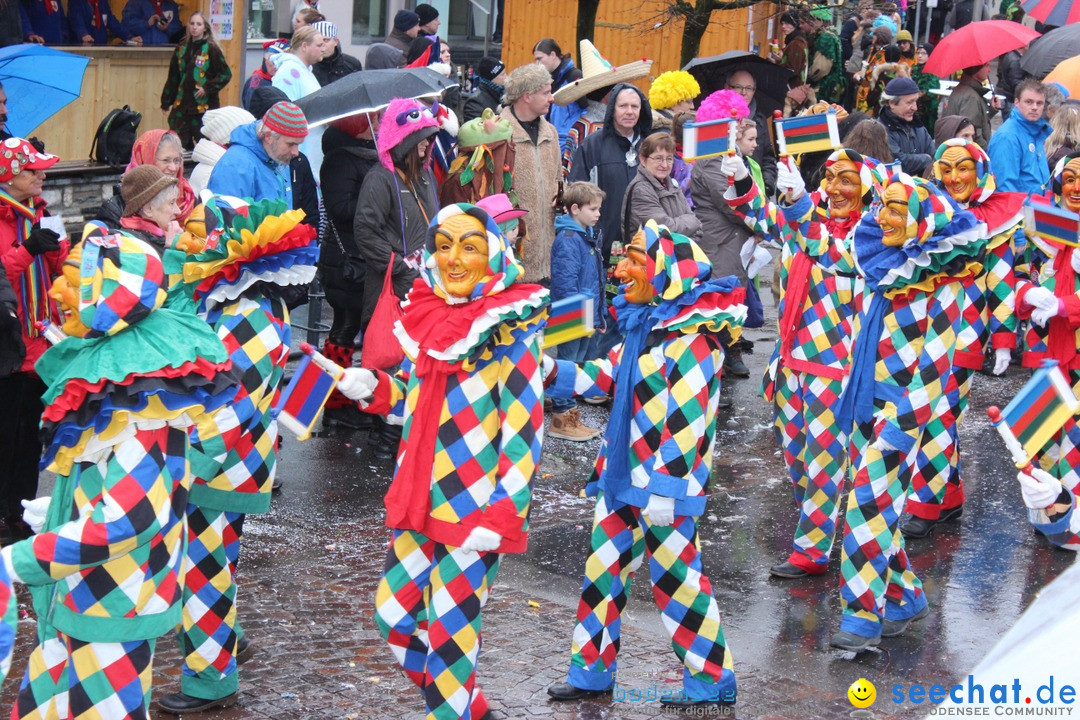 Fasnetsumzug - Fasching: Langenargen am Bodensee, 10.01.2016