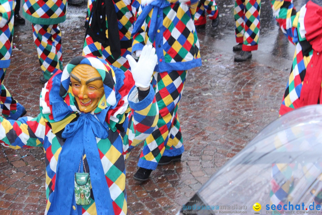 Fasnetsumzug - Fasching: Langenargen am Bodensee, 10.01.2016