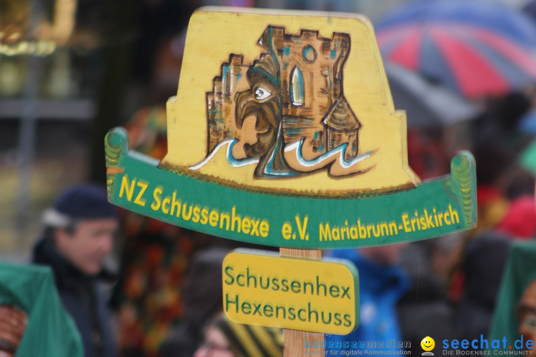 Fasnetsumzug - Fasching: Langenargen am Bodensee, 10.01.2016