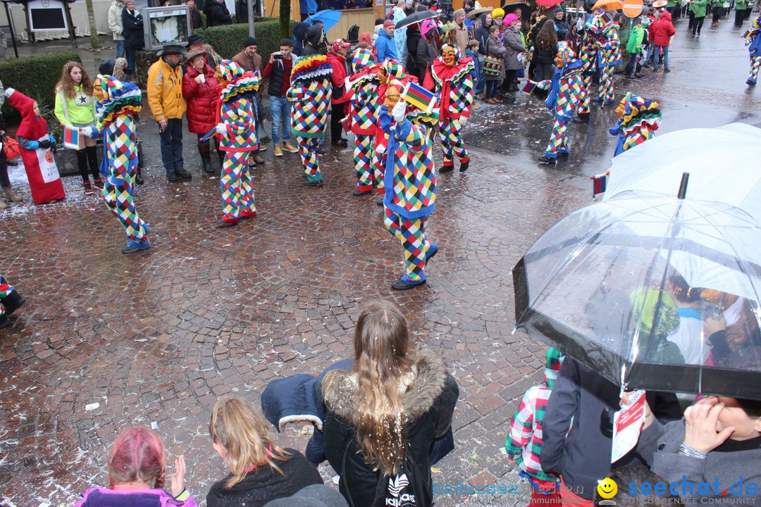 Fasnetsumzug - Fasching: Langenargen am Bodensee, 10.01.2016