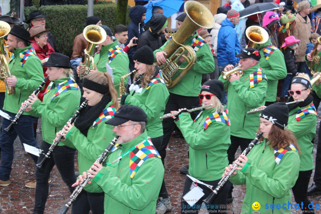 Fasnetsumzug - Fasching: Langenargen am Bodensee, 10.01.2016