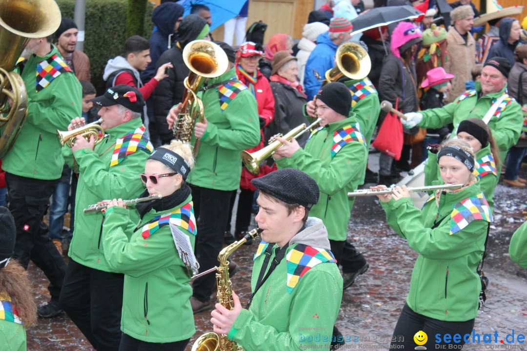 Fasnetsumzug - Fasching: Langenargen am Bodensee, 10.01.2016