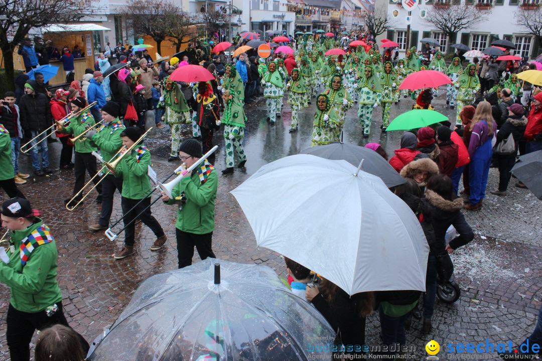 Fasnetsumzug - Fasching: Langenargen am Bodensee, 10.01.2016