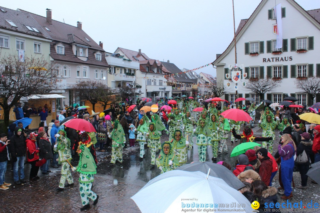 Fasnetsumzug - Fasching: Langenargen am Bodensee, 10.01.2016