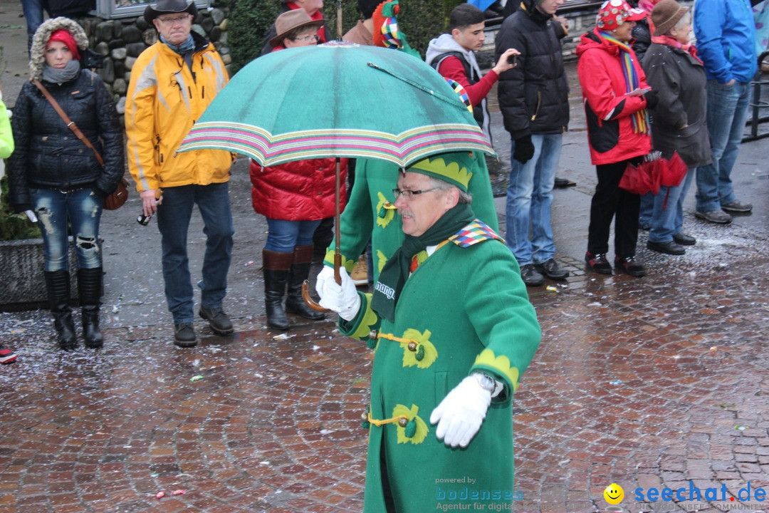 Fasnetsumzug - Fasching: Langenargen am Bodensee, 10.01.2016