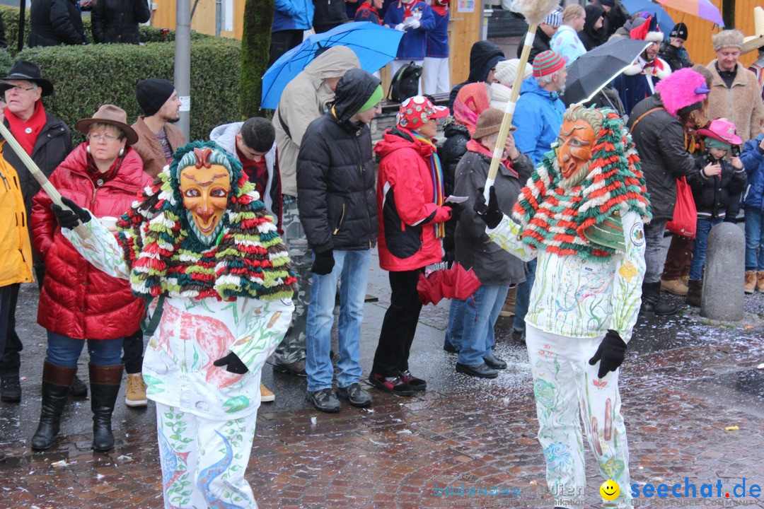 Fasnetsumzug - Fasching: Langenargen am Bodensee, 10.01.2016