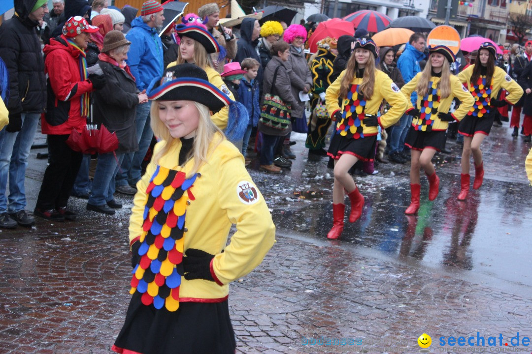 Fasnetsumzug - Fasching: Langenargen am Bodensee, 10.01.2016