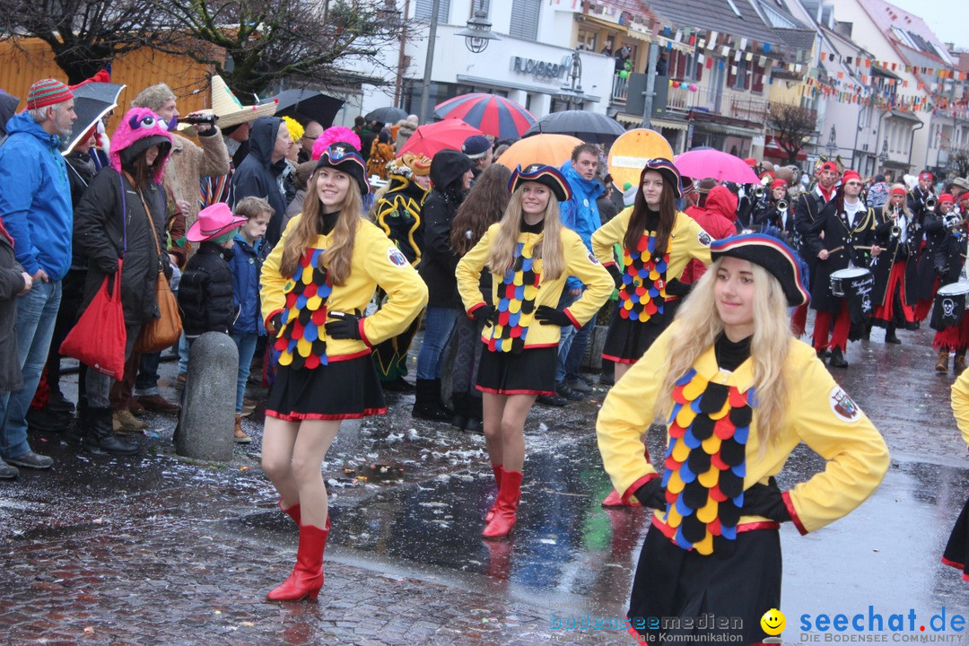 Fasnetsumzug - Fasching: Langenargen am Bodensee, 10.01.2016