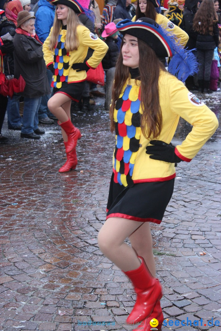 Fasnetsumzug - Fasching: Langenargen am Bodensee, 10.01.2016