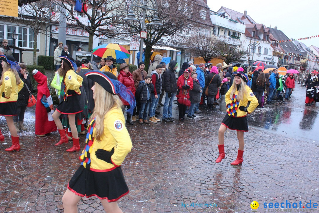 Fasnetsumzug - Fasching: Langenargen am Bodensee, 10.01.2016