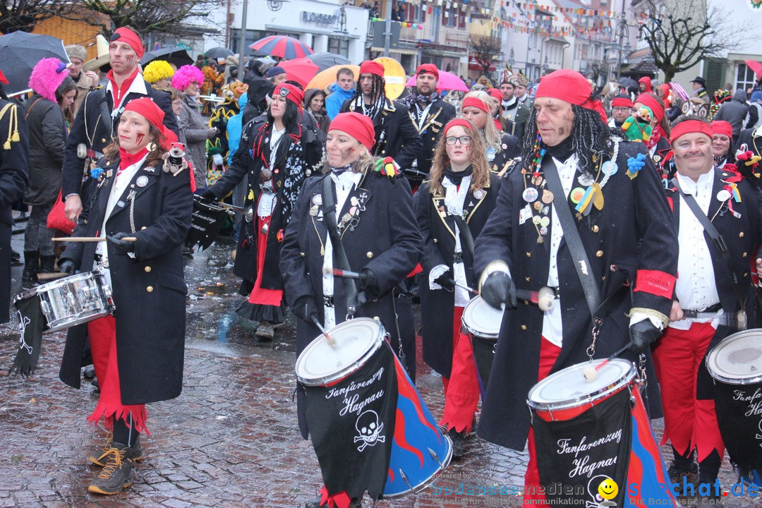 Fasnetsumzug - Fasching: Langenargen am Bodensee, 10.01.2016