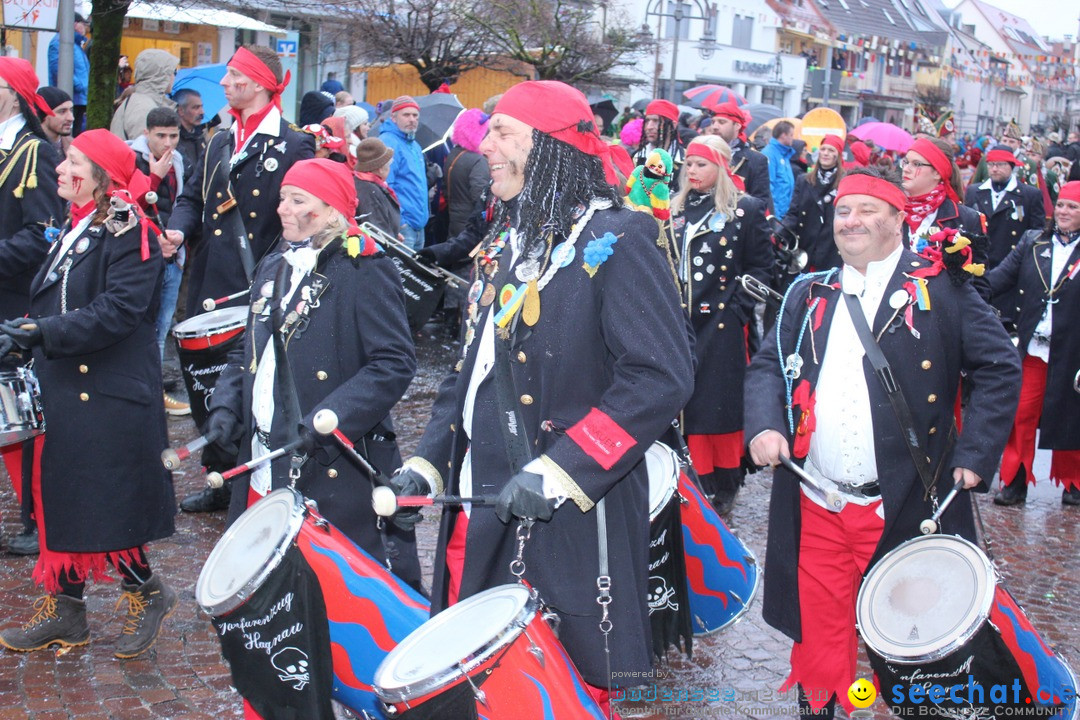 Fasnetsumzug - Fasching: Langenargen am Bodensee, 10.01.2016