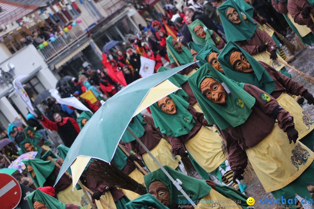 Fasnetsumzug - Fasching: Langenargen am Bodensee, 10.01.2016