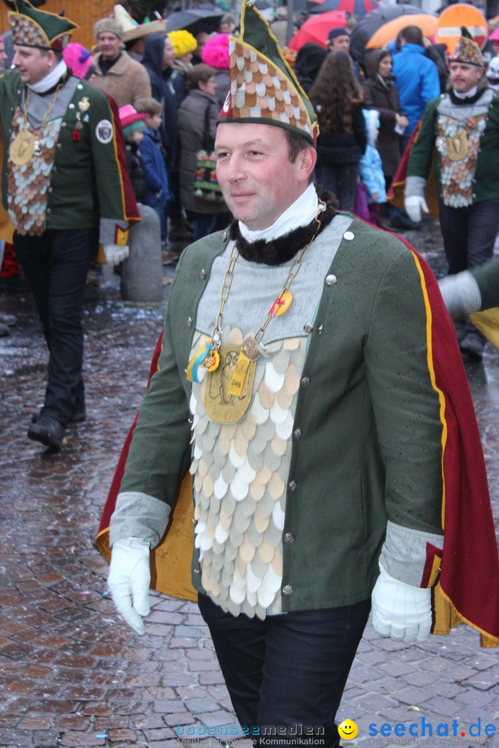 Fasnetsumzug - Fasching: Langenargen am Bodensee, 10.01.2016