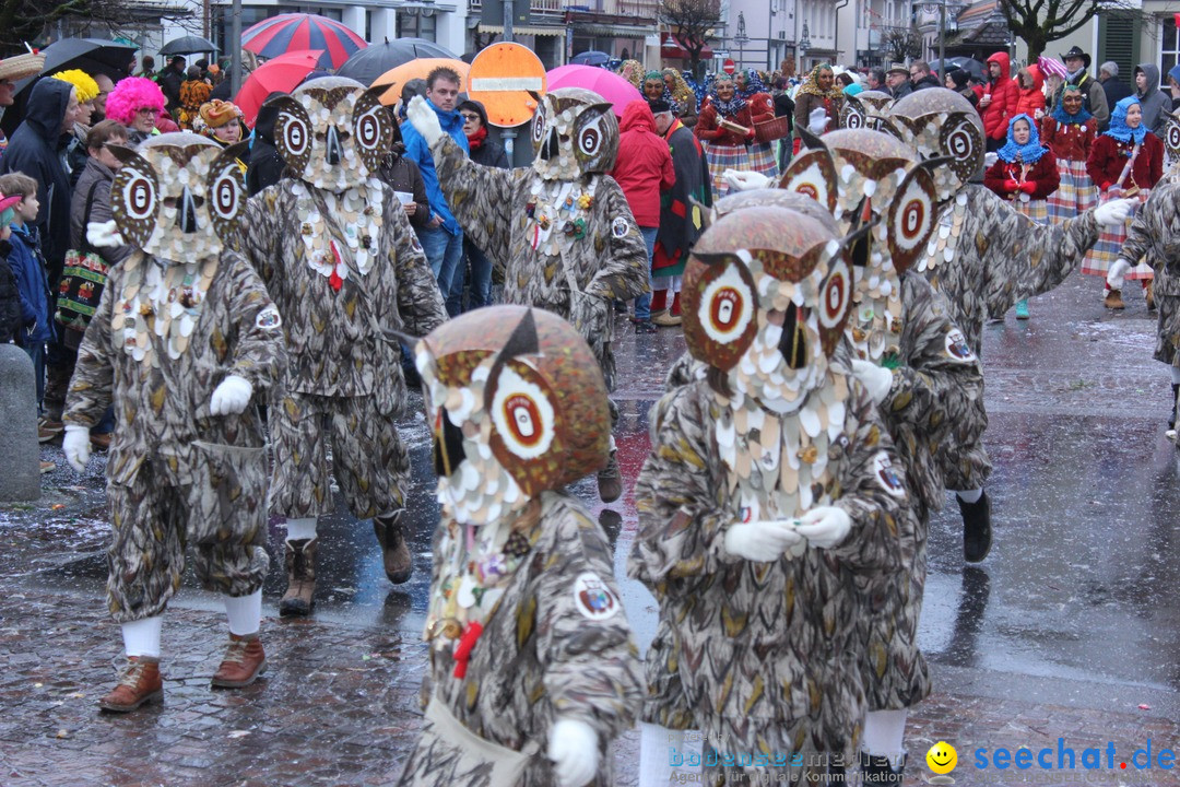 Fasnetsumzug - Fasching: Langenargen am Bodensee, 10.01.2016