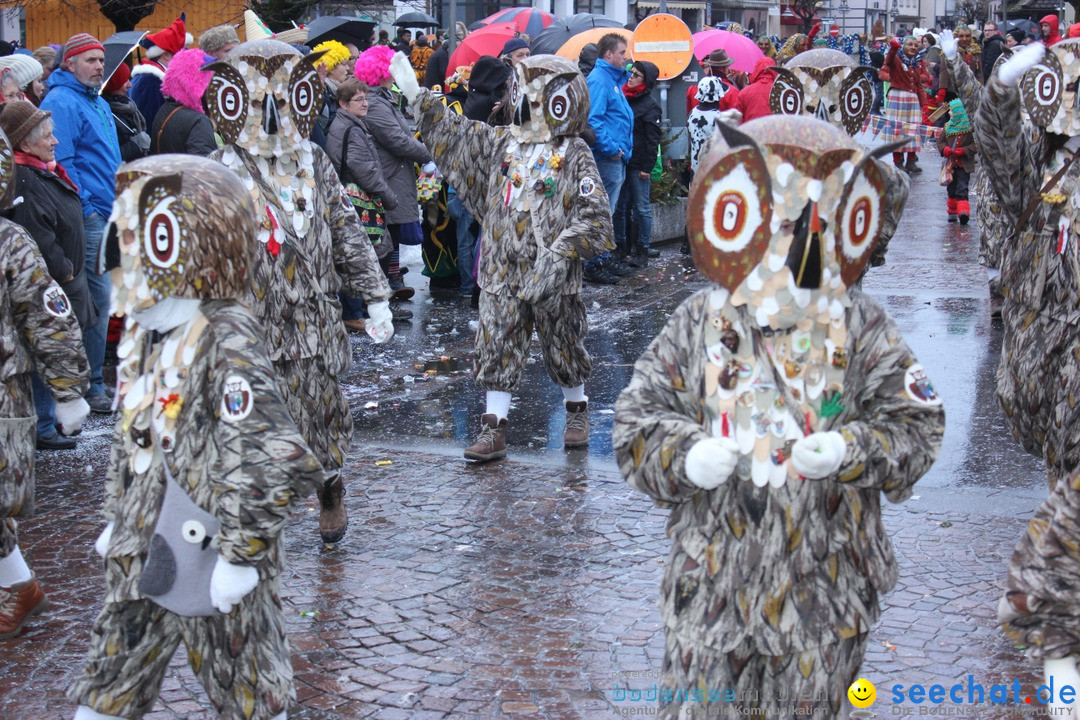 Fasnetsumzug - Fasching: Langenargen am Bodensee, 10.01.2016