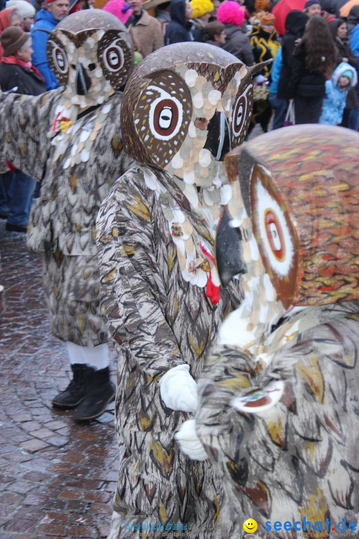 Fasnetsumzug - Fasching: Langenargen am Bodensee, 10.01.2016