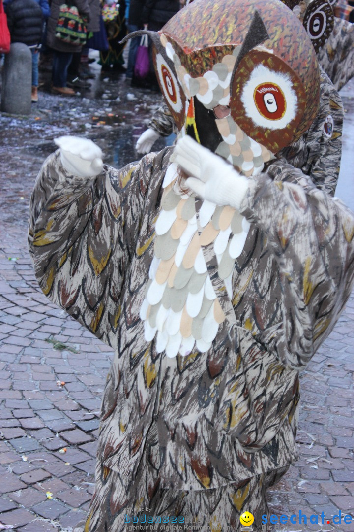 Fasnetsumzug - Fasching: Langenargen am Bodensee, 10.01.2016