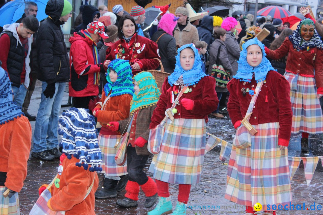 Fasnetsumzug - Fasching: Langenargen am Bodensee, 10.01.2016