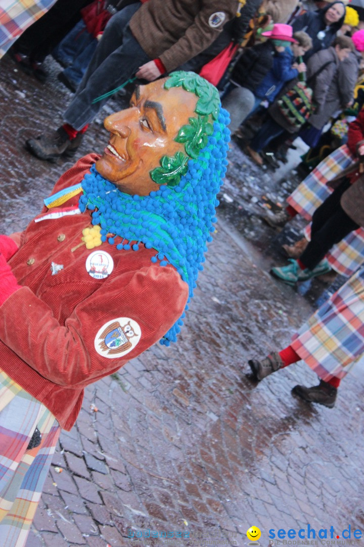 Fasnetsumzug - Fasching: Langenargen am Bodensee, 10.01.2016