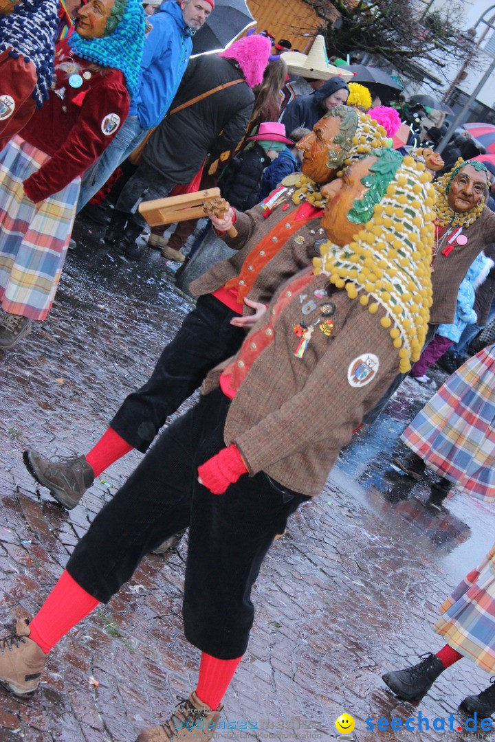 Fasnetsumzug - Fasching: Langenargen am Bodensee, 10.01.2016