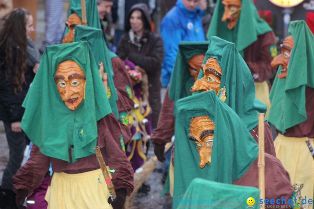 Fasnetsumzug - Fasching: Langenargen am Bodensee, 10.01.2016