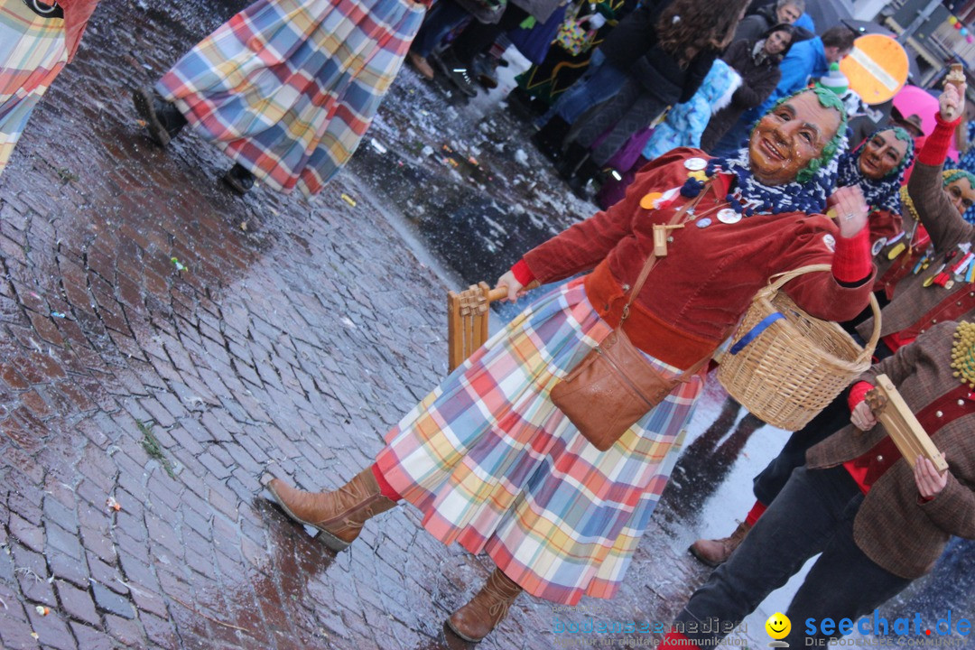 Fasnetsumzug - Fasching: Langenargen am Bodensee, 10.01.2016