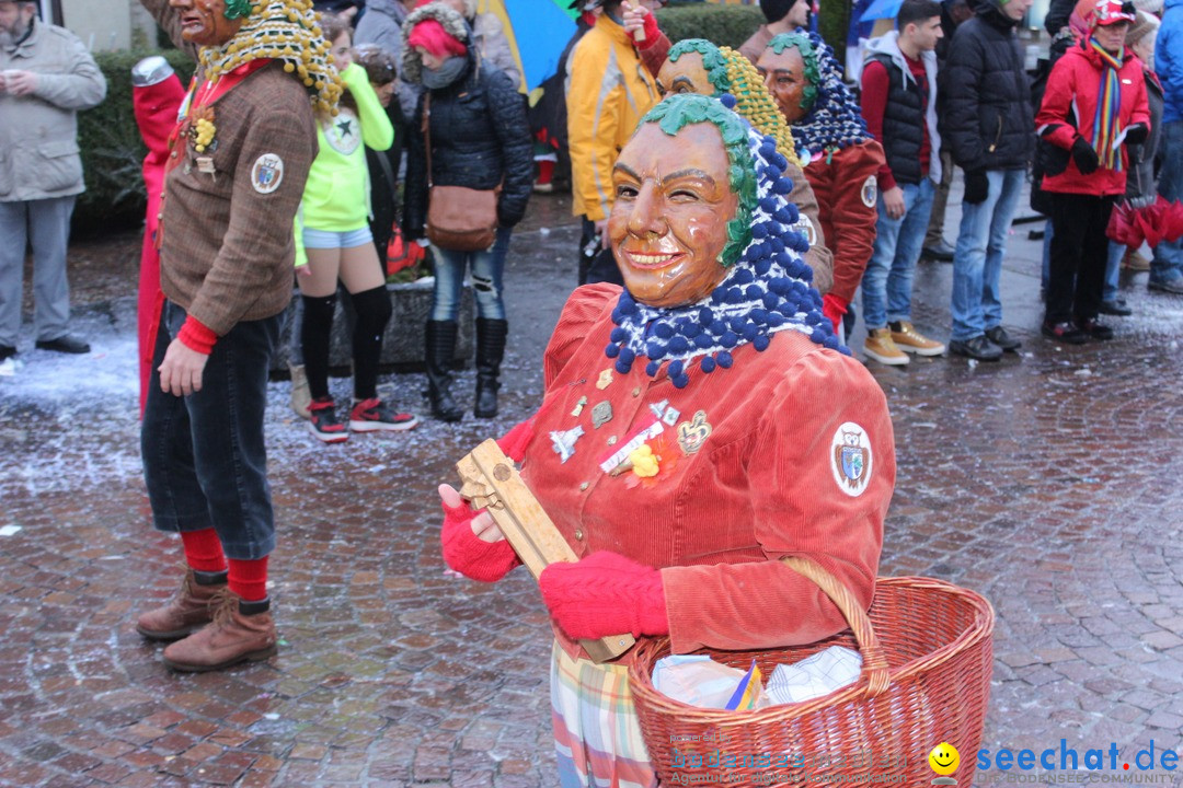 Fasnetsumzug - Fasching: Langenargen am Bodensee, 10.01.2016