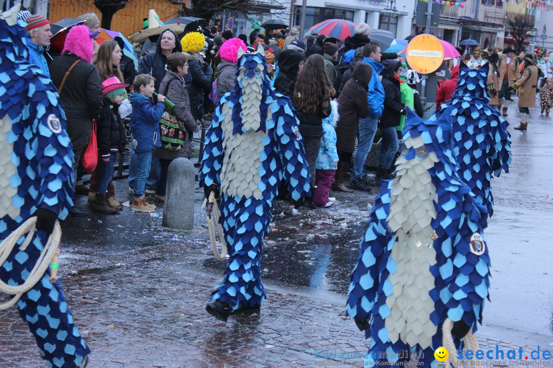 Fasnetsumzug - Fasching: Langenargen am Bodensee, 10.01.2016