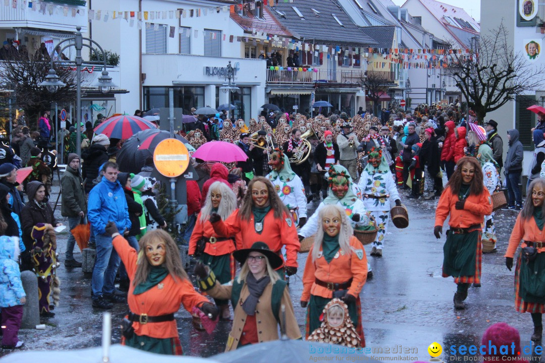 Fasnetsumzug - Fasching: Langenargen am Bodensee, 10.01.2016