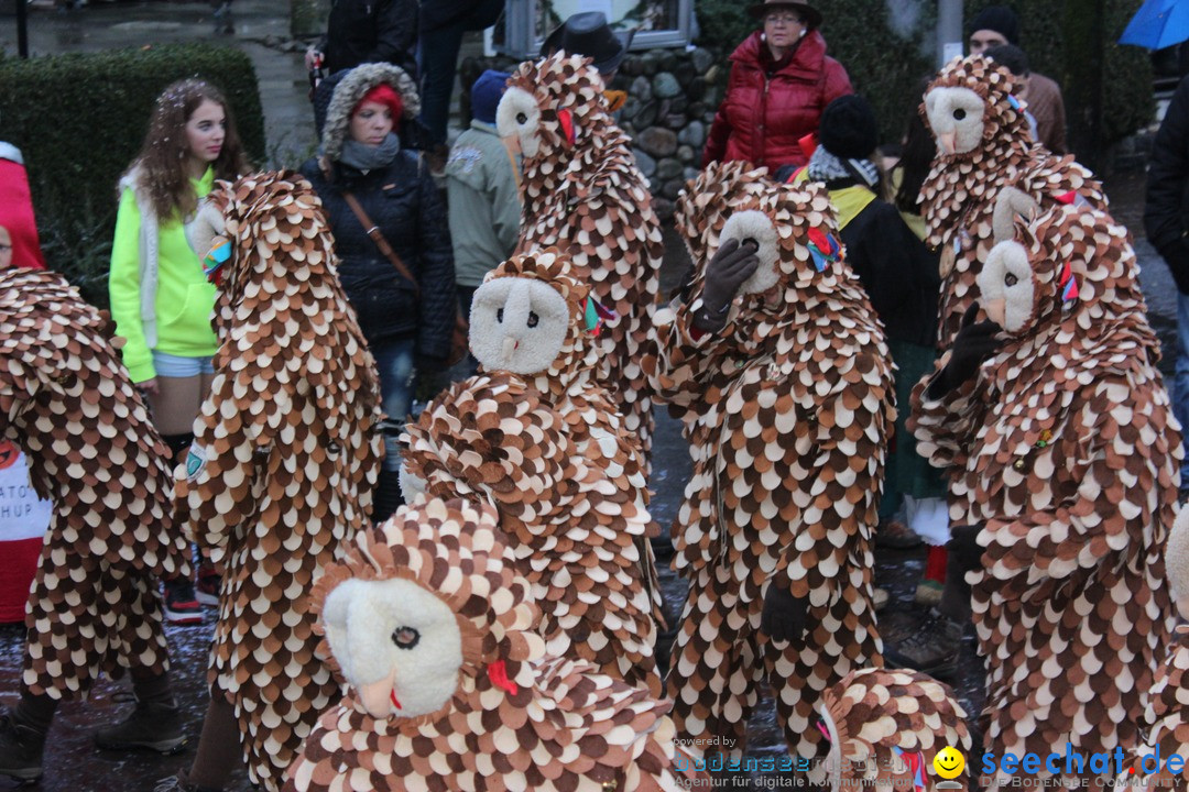 Fasnetsumzug - Fasching: Langenargen am Bodensee, 10.01.2016