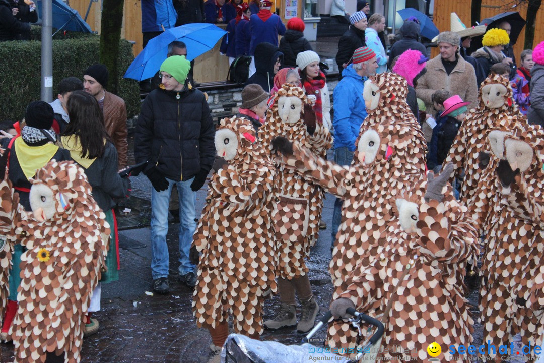 Fasnetsumzug - Fasching: Langenargen am Bodensee, 10.01.2016