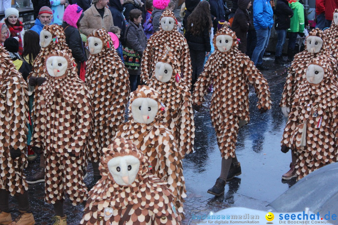 Fasnetsumzug - Fasching: Langenargen am Bodensee, 10.01.2016