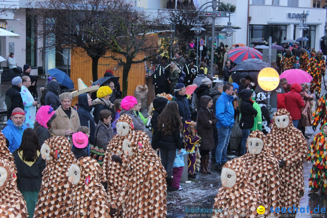 Fasnetsumzug - Fasching: Langenargen am Bodensee, 10.01.2016