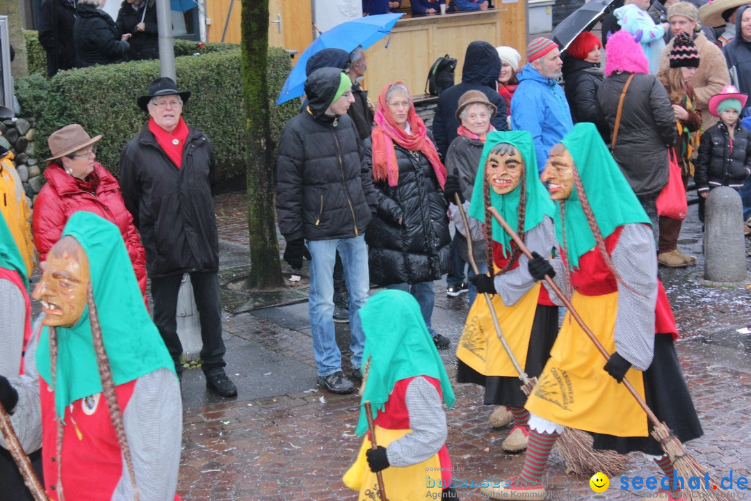 Fasnetsumzug - Fasching: Langenargen am Bodensee, 10.01.2016