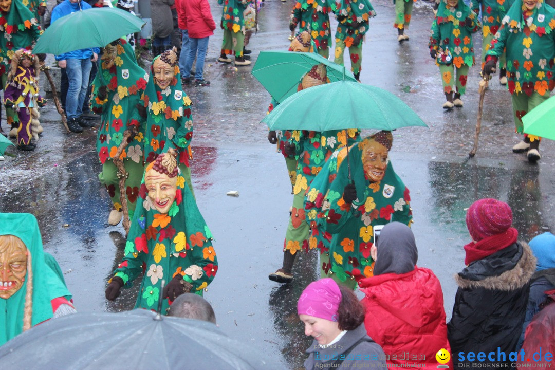 Fasnetsumzug - Fasching: Langenargen am Bodensee, 10.01.2016