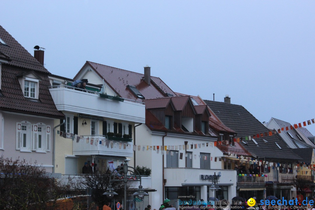 Fasnetsumzug - Fasching: Langenargen am Bodensee, 10.01.2016