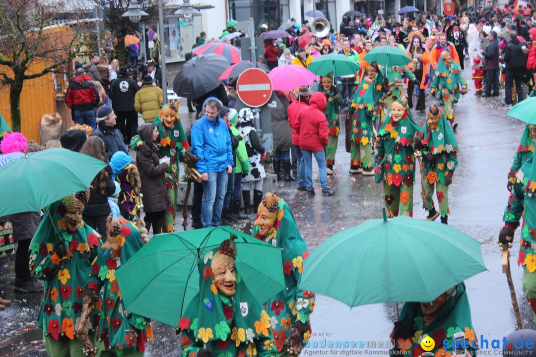 Fasnetsumzug - Fasching: Langenargen am Bodensee, 10.01.2016