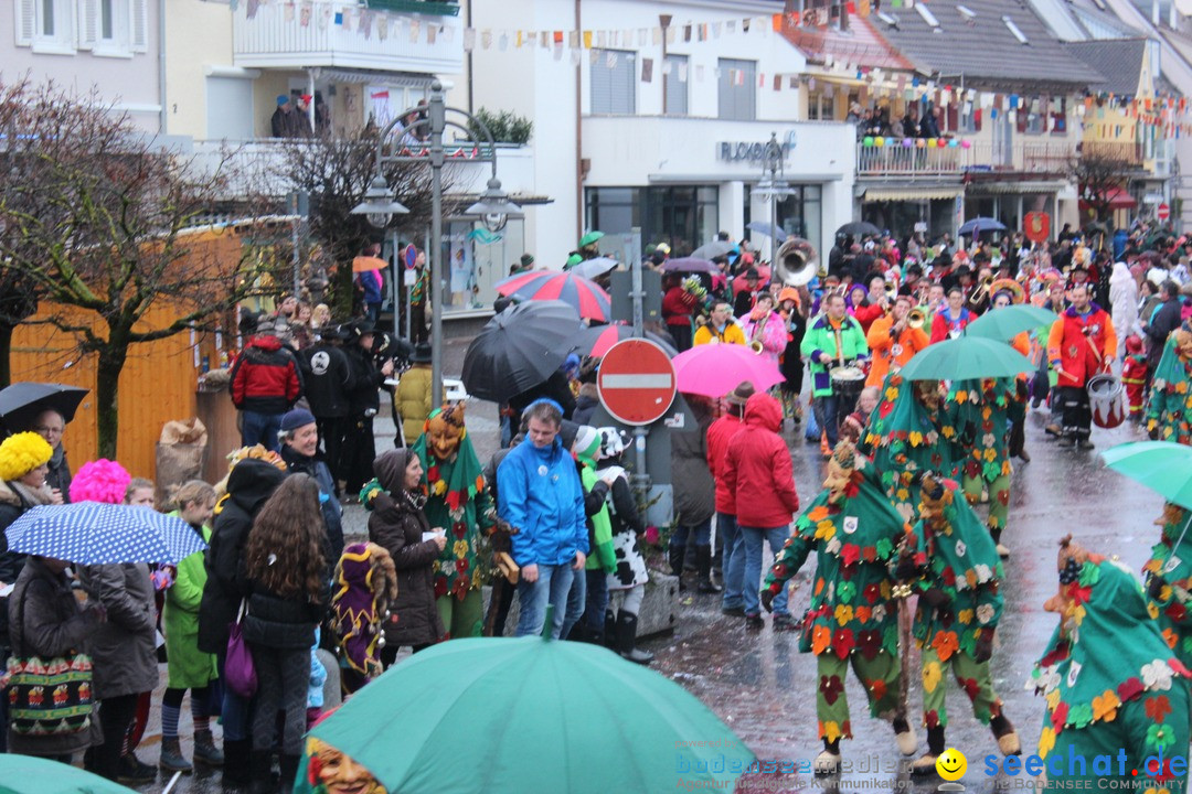 Fasnetsumzug - Fasching: Langenargen am Bodensee, 10.01.2016