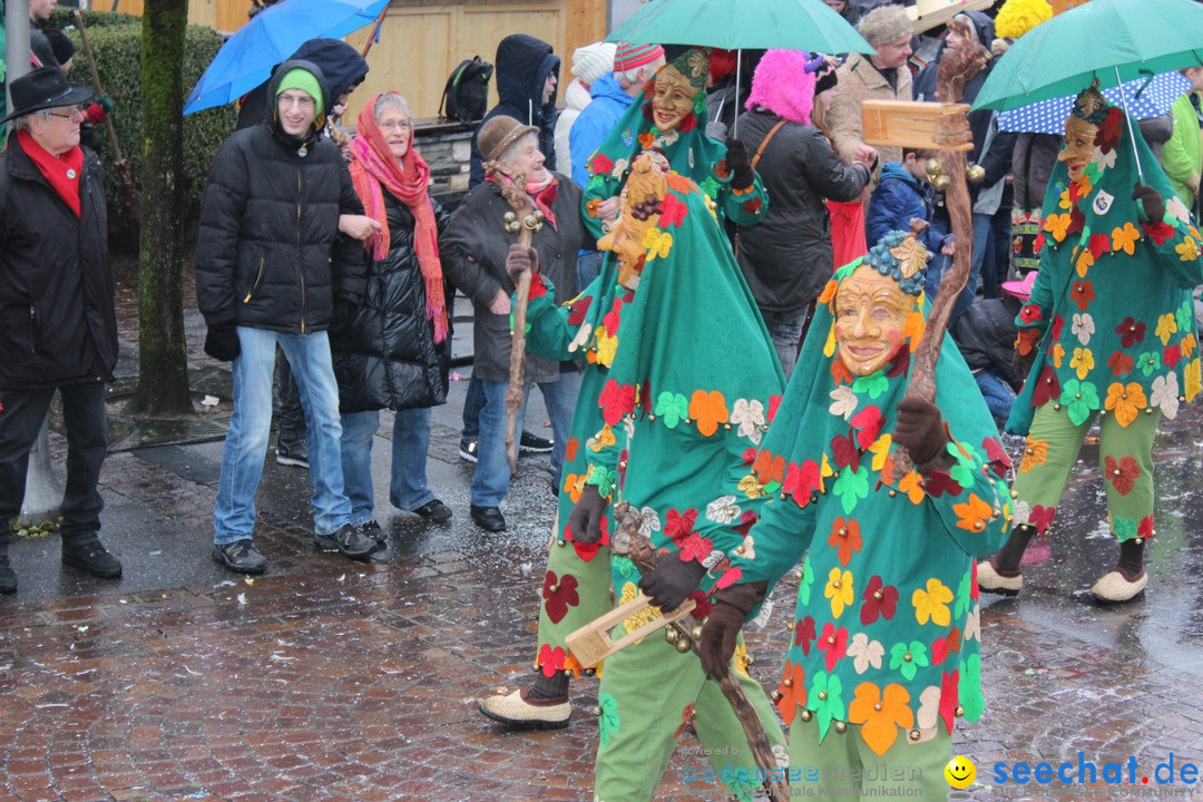 Fasnetsumzug - Fasching: Langenargen am Bodensee, 10.01.2016