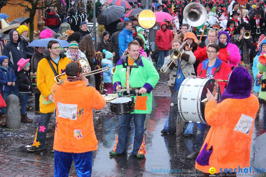 Fasnetsumzug - Fasching: Langenargen am Bodensee, 10.01.2016