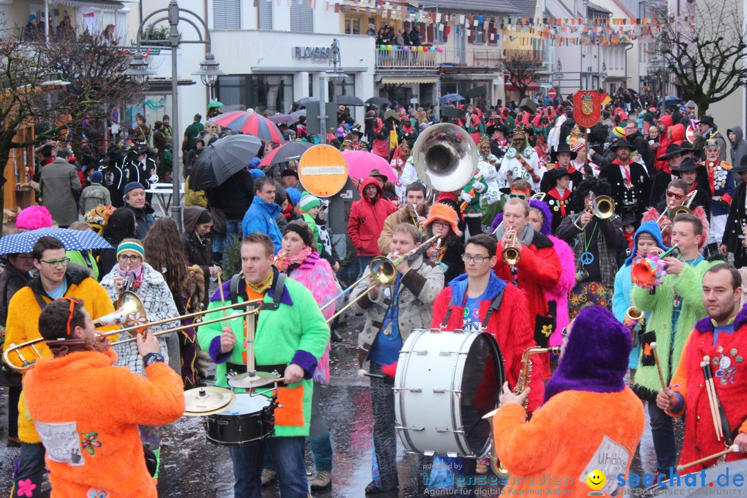 Fasnetsumzug - Fasching: Langenargen am Bodensee, 10.01.2016