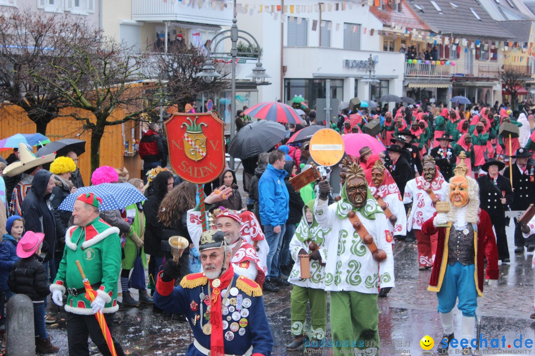 Fasnetsumzug - Fasching: Langenargen am Bodensee, 10.01.2016