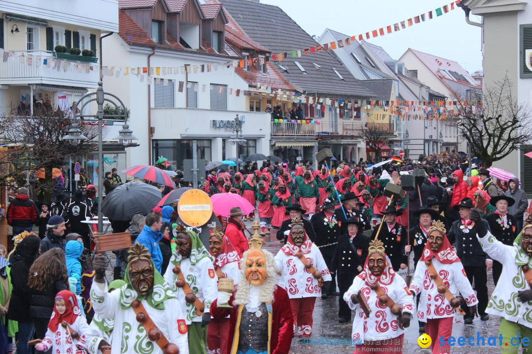 Fasnetsumzug - Fasching: Langenargen am Bodensee, 10.01.2016