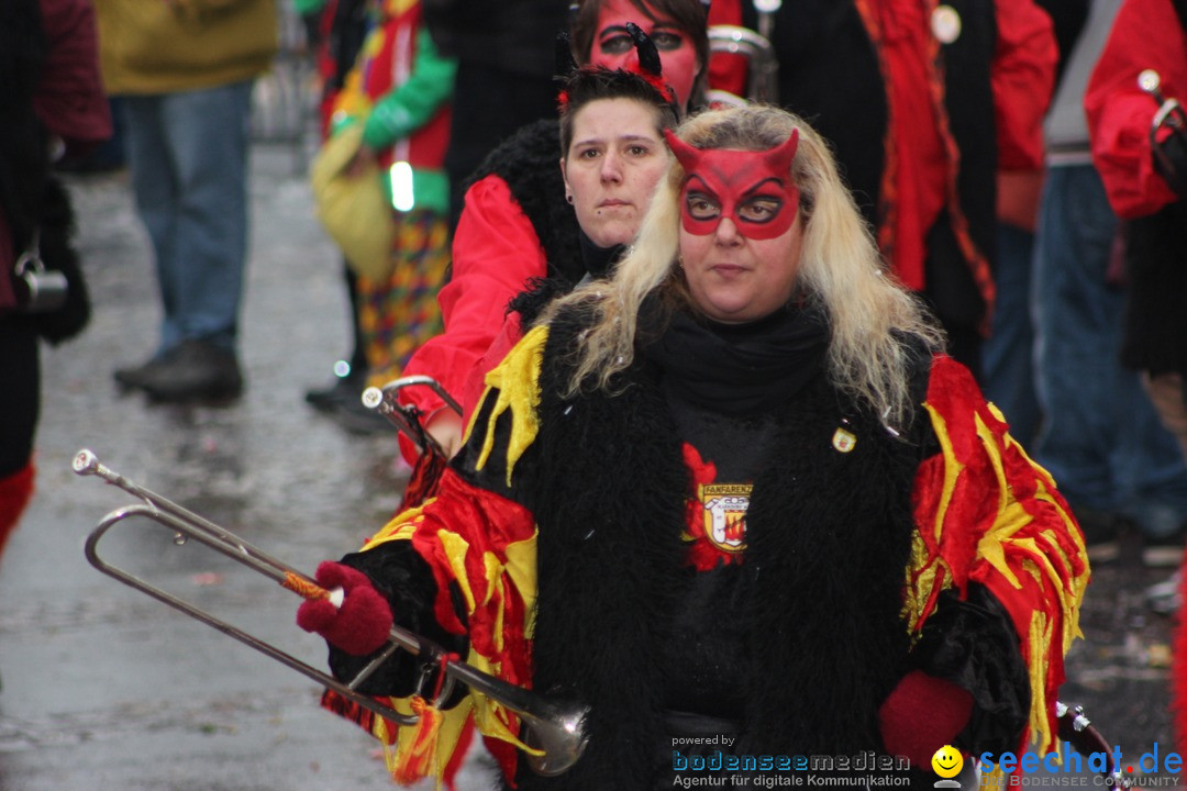 Fasnetsumzug - Fasching: Langenargen am Bodensee, 10.01.2016