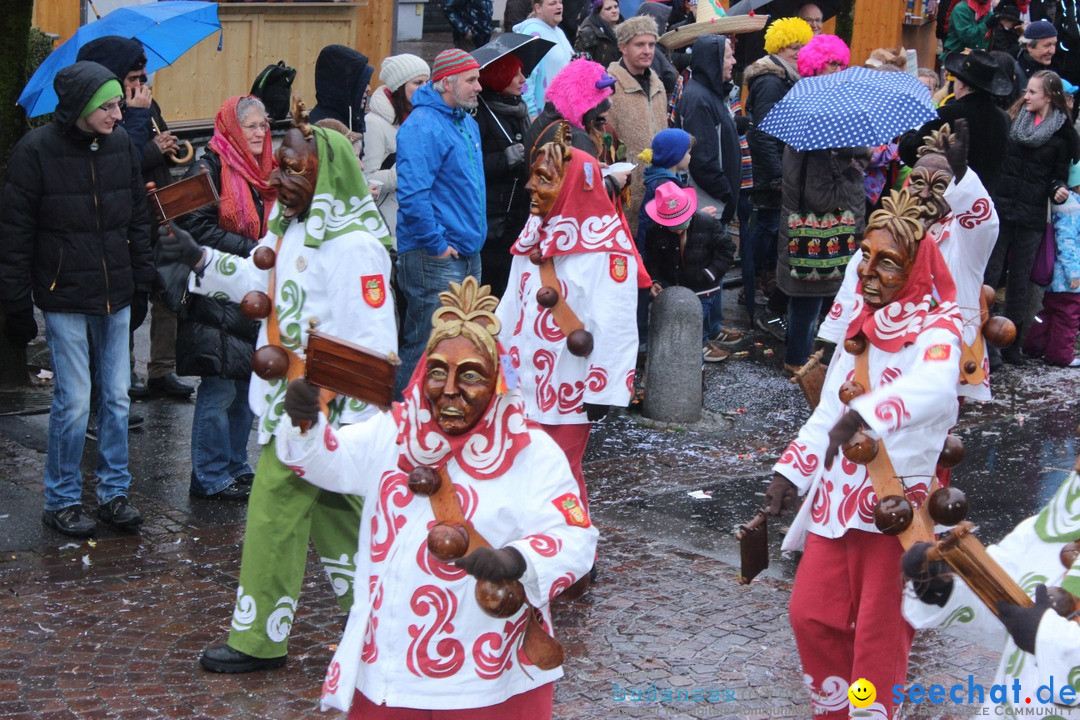 Fasnetsumzug - Fasching: Langenargen am Bodensee, 10.01.2016