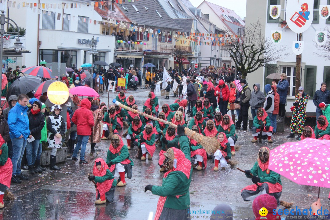 Fasnetsumzug - Fasching: Langenargen am Bodensee, 10.01.2016