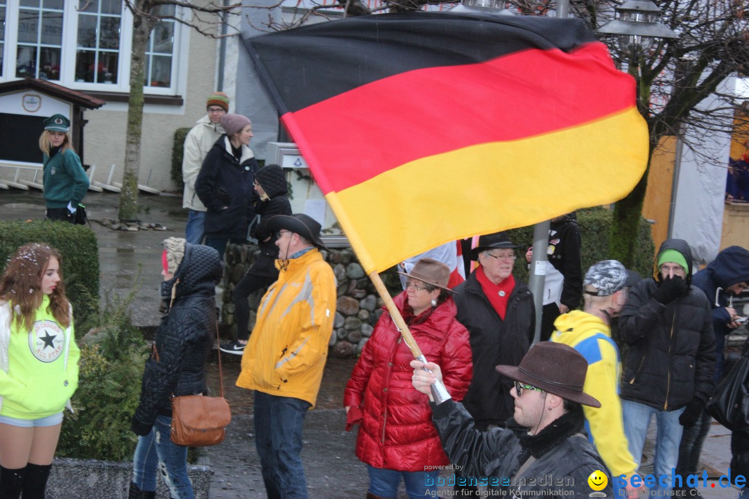 Fasnetsumzug - Fasching: Langenargen am Bodensee, 10.01.2016